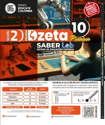 Dzeta 10 S2