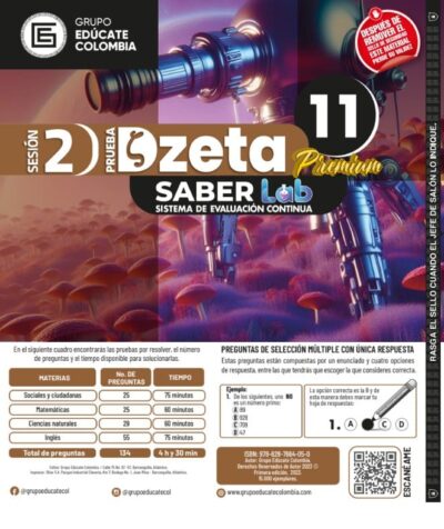 Dzeta 11 S2